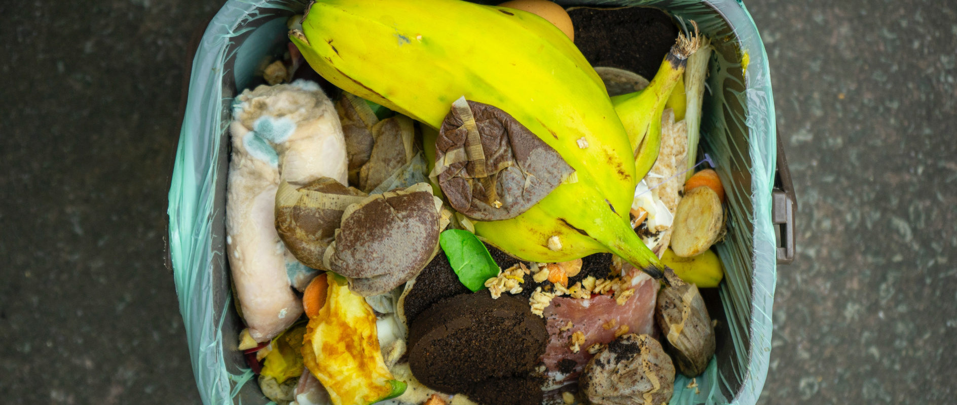 A bird's-eye view of an open compost bin full of food waste.