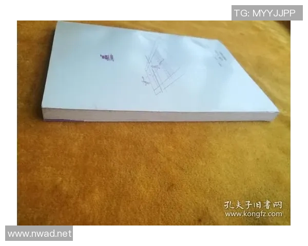 北京网球队配合风格深度剖析与战术对比研究