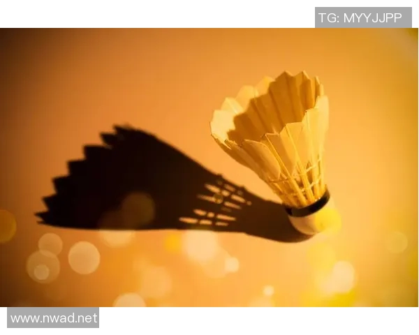 南京羽毛球队引领最新羽毛球战术TOP10解析与应用技巧分享