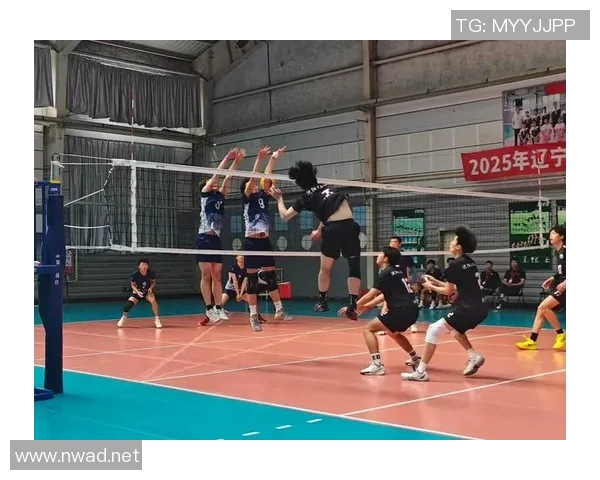 成都排球队在全国排球意识排行榜中荣获第六名展现卓越团队精神与竞技水平