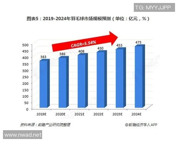 数据分析:成都乒乓球队的比赛经验表现