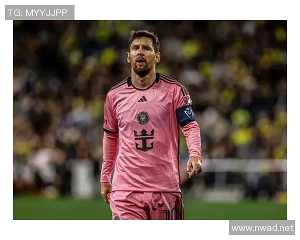 足球明星大揭秘结尾猜谜综艺挑战你的足球知识与直觉