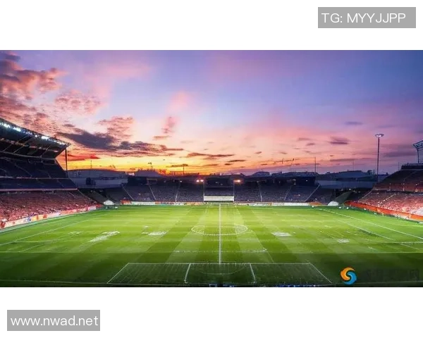 足球明星激情瞬间集锦尽显球场风采与荣耀时刻