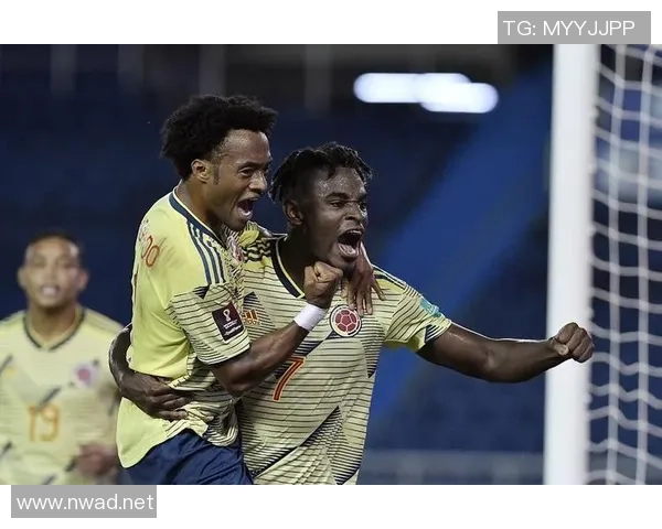 世界杯预选赛点评:西安网球队的实力表现