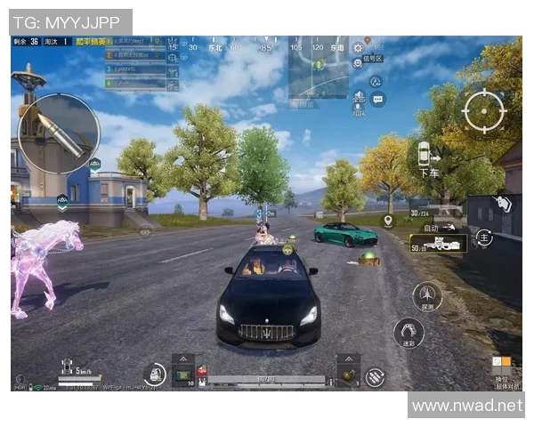 最新和平精英配合TOP10：LNG领跑