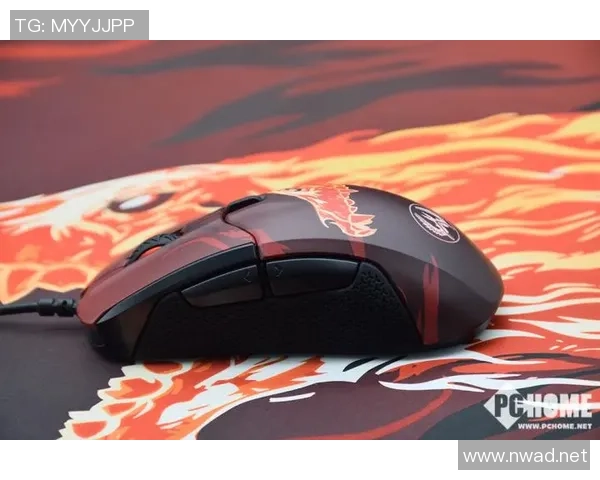 周秀英独家：分享CS_GO心得