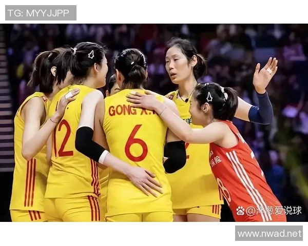 热议排球：重庆排球队的速度变革_1